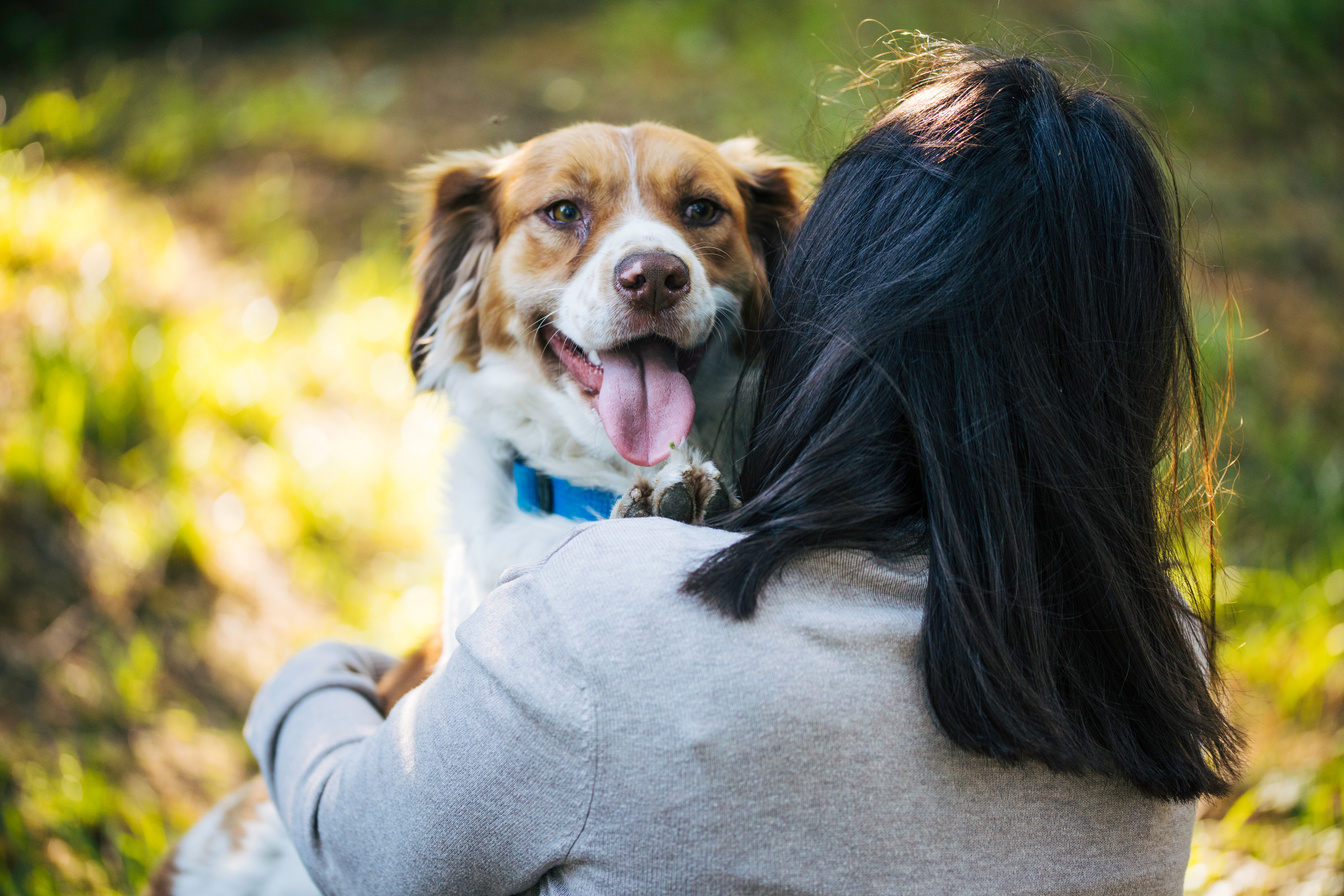 Dog and owner love.